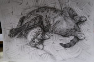Кошачий релакс