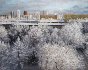 Зимний день в спальном районе